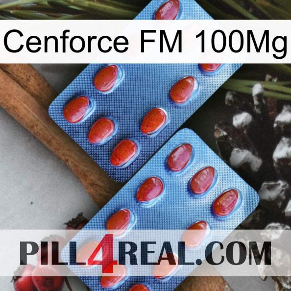 Cenforce FM 100Mg 05.jpg